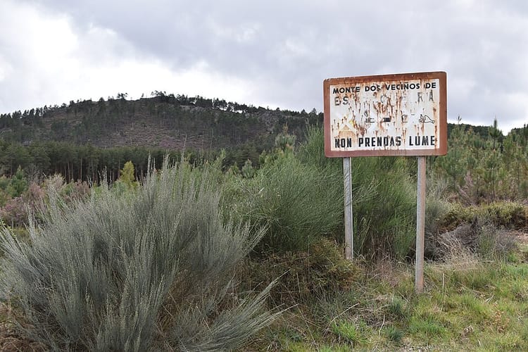 Prevención de incendios en el hogar: materiales y detectores